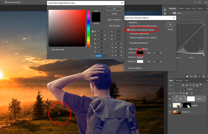 2 Powerful Techniques To Match Subject With Background In Photo - How To Change Background Color In Substance Painter